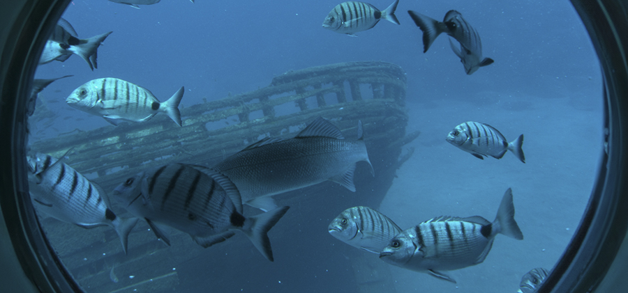 La Vuelta al Mundo 2026 de Costa Cruceros zarpa desde Barcelona a bordo del Costa Deliziosa La Vuelta al Mundo 2026 de Costa Cruceros zarpa desde Barcelona a bordo del Costa Deliziosa
